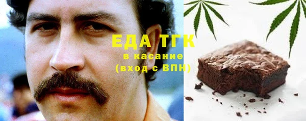 гидра Инта