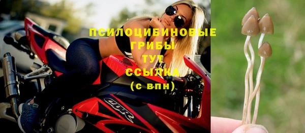 прущая мука Инсар