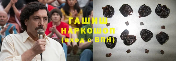 гидра Инта