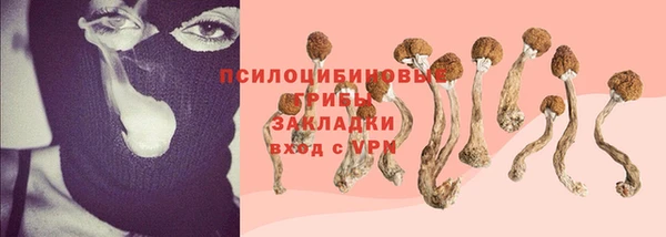 дурь Иннополис
