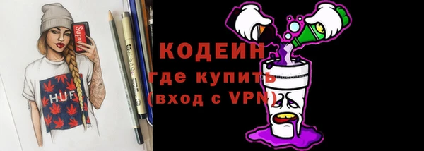 гидра Инта