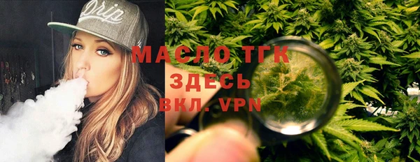 гидра Инта