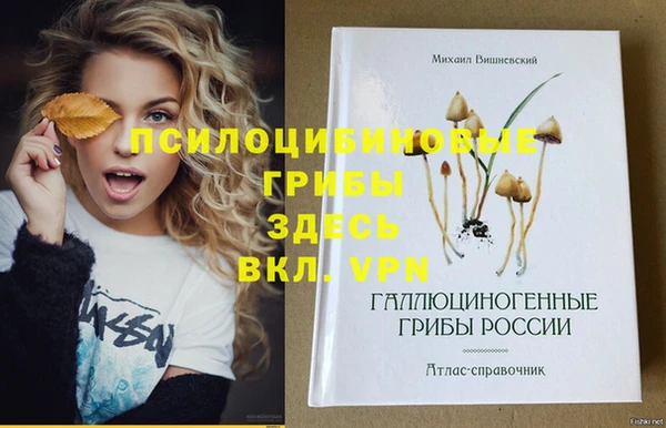 кокаин колумбия Каменка