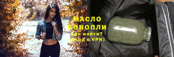гидра Инта