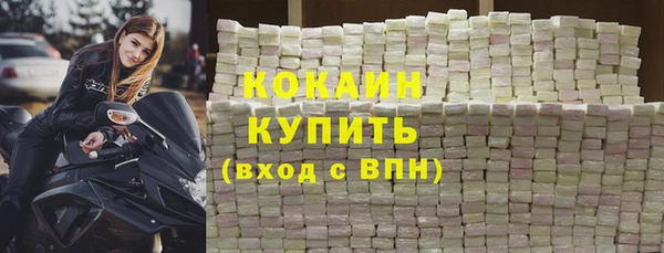 гидра Инта