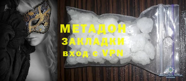 гидра Инта