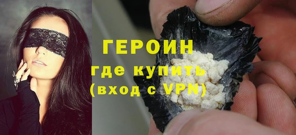 гидра Инта