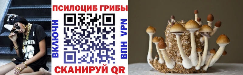 Псилоцибиновые грибы мицелий  Купить закладки  Тетюши 